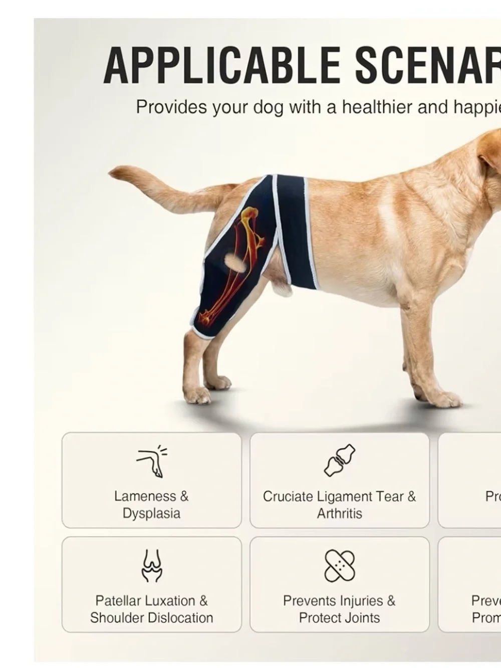 Kisfly Dog Knee Brace